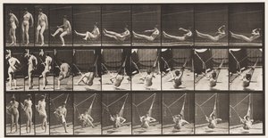 Plåt 261. Att komma in i hängmattan, 1872-1885 av Eadweard Muybridge