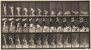 Plåt 262. Att ta sig ur hängmattan av Eadweard Muybridge