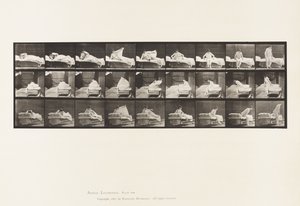 Tallrik 265. Att gå upp ur sängen och förbereda sig för att knäböja av Eadweard Muybridge
