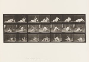 Skylt 267. Vrid och ändra position på marken, 1885 av Eadweard Muybridge