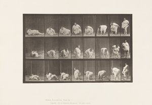 Plåt 268. Uppstår från marken, 1885 av Eadweard Muybridge