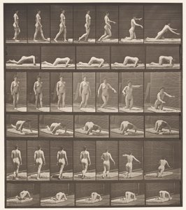 Tavla 272. Snubblande och fallande på marken av Eadweard Muybridge