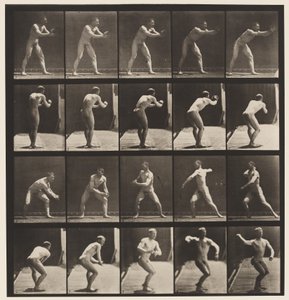 Tallrik 282. Base-ball; Att fånga och kasta, 1885 av Eadweard Muybridge