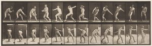Tallrik 284. Base-ball; Att fånga och kasta, 1885 av Eadweard Muybridge