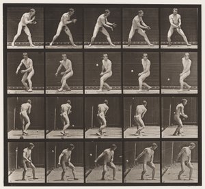 Tallrik 288. Base-ball; Fel av Eadweard Muybridge