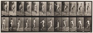 Tallrik 289.Cricket; Round Arm Bowling, 1885 av Eadweard Muybridge