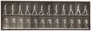 Skylt 28. Går, bär 50 lb. Dumb-Bell i höger hand, 1872-1885 av Eadweard Muybridge