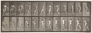 Tallrik 290.Cricket; Over Arm Bowling, 1885 av Eadweard Muybridge