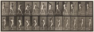 Tallrik 292.Cricket; Vadd; Tillbaka ut, 1885 av Eadweard Muybridge