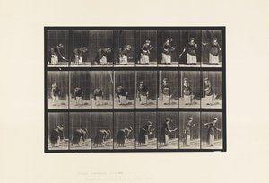 Tallrik 295. Lawn Tennis; Servering av Eadweard Muybridge