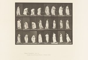 Tallrik 299. Leker med en boll av Eadweard Muybridge