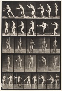 Tallrik 300. Fotboll; drop kick, 1885 av Eadweard Muybridge