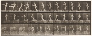 Tallrik 301. Fotboll; Punt, 1885 av Eadweard Muybridge