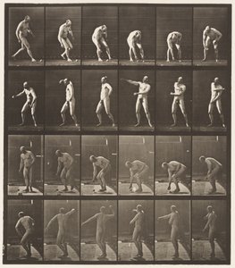 Plåt 302. Plocka upp en boll och kasta den, 1885 av Eadweard Muybridge