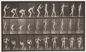 Tallrik 304. Plocka upp en boll och kasta den av Eadweard Muybridge