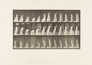 Plåt 305. Plocka upp en boll och kasta den, 1885 av Eadweard Muybridge