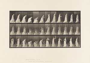 Plåt 306. Plocka upp en boll och kasta den, 1885 av Eadweard Muybridge