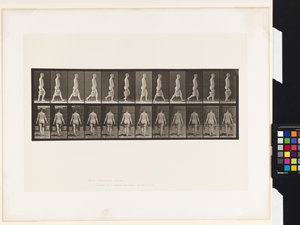 Tavla 30. Går, bär en hink med vatten i varje hand av Eadweard Muybridge
