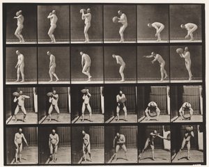 Tavla 312. Heaving a 75-lb sten av Eadweard Muybridge