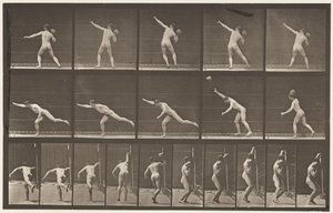 Plåt 313. Heaving a 20-lb Rock, 1885 av Eadweard Muybridge