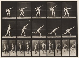 Plåt 314. Hänger en 20-lb sten av Eadweard Muybridge