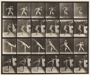 Tallrik 315. Hänger en 20-lb sten av Eadweard Muybridge