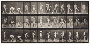 Plåt 317. Hänger en 70-lb sten av Eadweard Muybridge