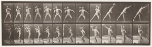 Tallrik 319. Hänger en 75 lb sten av Eadweard Muybridge