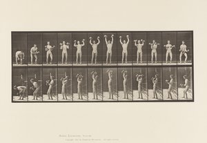 Tallrik 322. Man lyfter hantlar av Eadweard Muybridge