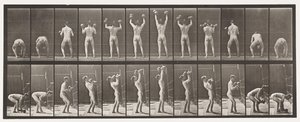 Skylt 323. Lyfta och släppa ner två 50-lb hantlar av Eadweard Muybridge