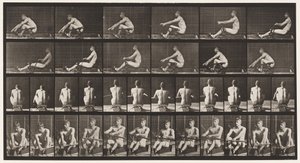 Plåt 327. Rodd av Eadweard Muybridge