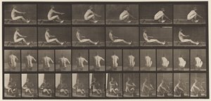 Plåt 328. Rodd av Eadweard Muybridge