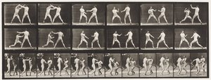 Tallrik 329. Boxning; (Skor) av Eadweard Muybridge