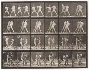 Tallrik 330. Boxning; Cross-Counter (skor) av Eadweard Muybridge