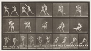 Tallrik 331. Boxning; Stopp för Cross-Butocks av Eadweard Muybridge