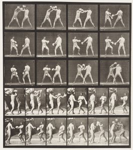 Tallrik 334. Boxning; Med handskar (skor) av Eadweard Muybridge