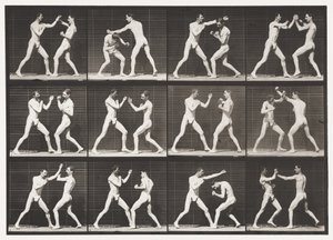 Tallrik 336. Boxning; Öppen hand (skor) av Eadweard Muybridge