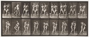 Tallrik 337. Boxning; Öppen hand av Eadweard Muybridge