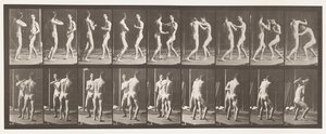 Tallrik 339. Boxning; Öppen hand av Eadweard Muybridge