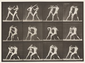 Tallrik 340. Boxning; Öppen hand av Eadweard Muybridge