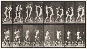 Tallrik 341. Boxning; Öppen hand av Eadweard Muybridge