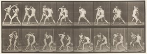 Tallrik 342. Boxning; Öppen hand, 1872-1885 av Eadweard Muybridge