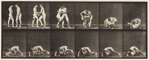 Plåt 345. Wrestling, Lock, 1885 av Eadweard Muybridge