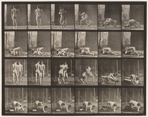 Plåt 346. Brottning, Lås av Eadweard Muybridge