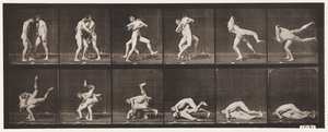 Plåt 347. Wrestling, grekisk-romersk, 1885