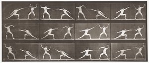 Plåt 349. Fäktning, 1872-1885 av Eadweard Muybridge