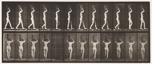 Tavla 34. Går av Eadweard Muybridge