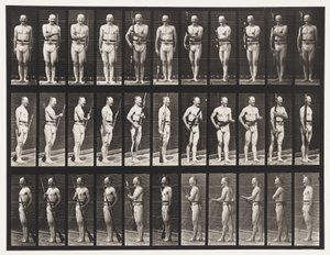 Plåt 351. Fixa och avfixa bajonetter, 1872-1885 av Eadweard Muybridge
