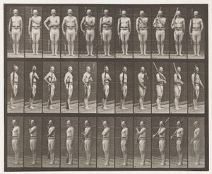 Plåt 352. Axel-, ordnings- och bärarmar av Eadweard Muybridge