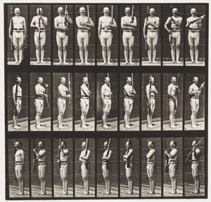 Plåt 353. Stödvapen och vapenport, 1872-1885 av Eadweard Muybridge